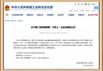 国家级专精特新“小巨人 ”